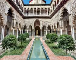 The patio of the castle consisted of many reception rooms. In the middle of the patio, there is a big rectangular glittery pool with small gardens on 